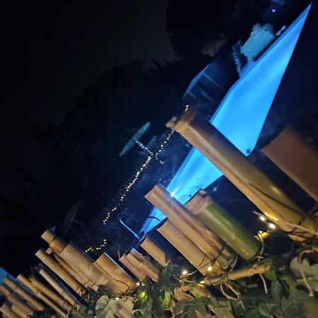 Mobilhome Vintage Dans Camping A La Ferme Ponteilla Zewnętrze zdjęcie